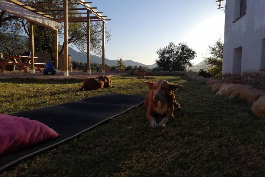 Willa Cortijo Rural Gumeo Malaga Zewnętrze zdjęcie